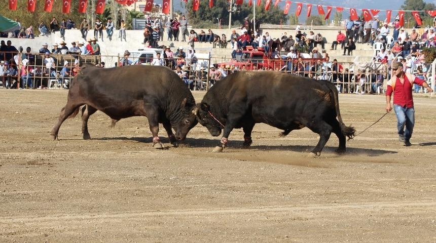 Germencik Arenası T&uuml;rkiye Şampiyonası&rsquo;na ev sahipliği yaptı