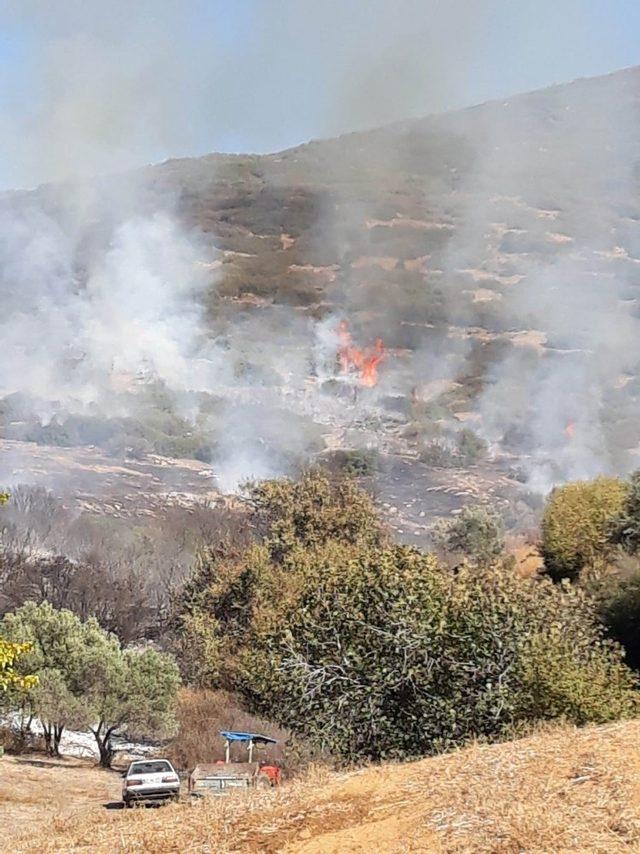 Manisa’da orman yangını