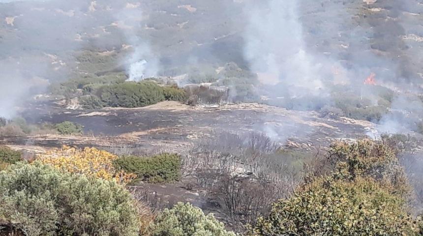 Manisa&rsquo;da orman yangını