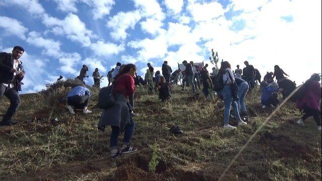 Üniversite öğrencileri şehitler adına fidan dikti