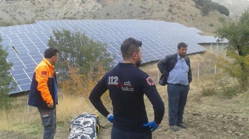 Ağa&ccedil;tan d&uuml;şen şahıs hastanelik oldu