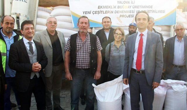 Yalova’da çiftçilere 26 ton buğday tohumu dağıtıldı