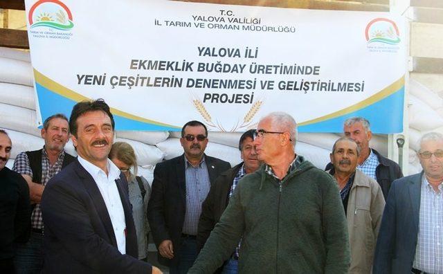 Yalova’da çiftçilere 26 ton buğday tohumu dağıtıldı