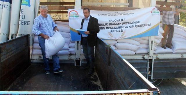 Yalova’da çiftçilere 26 ton buğday tohumu dağıtıldı