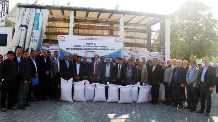 Yalova&rsquo;da &ccedil;ift&ccedil;ilere 26 ton buğday tohumu dağıtıldı