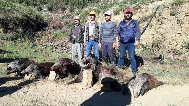 Aydın’da çiftçinin imdadına avcılar yetişti