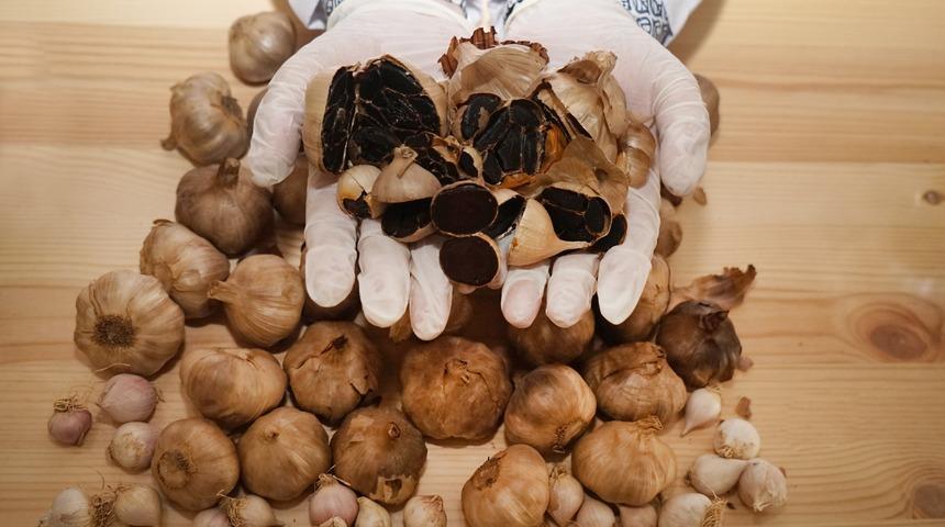 Kanserin ilacı olacak: Kastamonu'nun şifalısı siyah sarımsak 