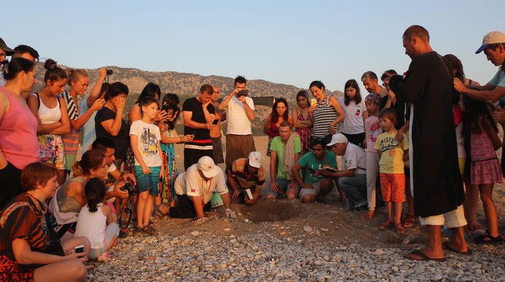 22 yılın rekoru kırıldı! 151 yuva, 13 bin 729 yumurta G4