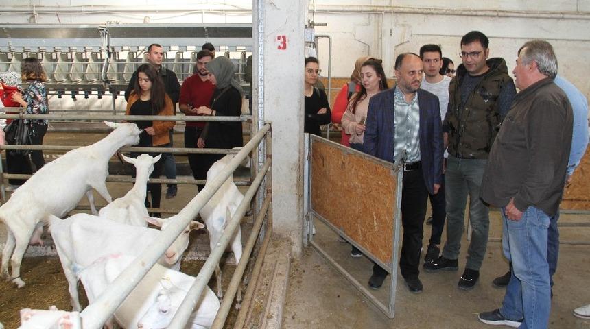 Gen&ccedil; &ccedil;ift&ccedil;iler, toprağa dokunmak i&ccedil;in Beyşehir&rsquo;de buluştu