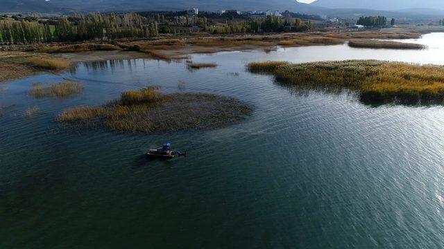 Beyşehir Gölü kıyısındaki istenmeyen sucul bitkiler kesiliyor