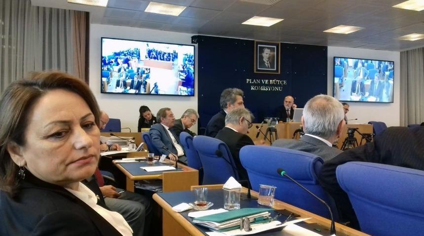 Şevkin: "Bu hızla giderse CEİEB, 591 yıl sonra kurulabilecek"