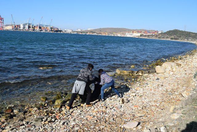 Öğrencilerden keman eşliğinde çevre temizliği