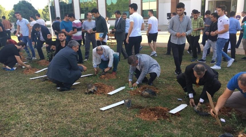 Yurt bahçesine 200 gül fidanı dikildi