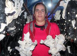 4 çocuk annesi, sera projesiyle örnek oldu