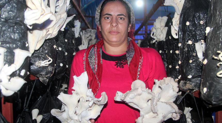 4 çocuk annesi, sera projesiyle örnek oldu