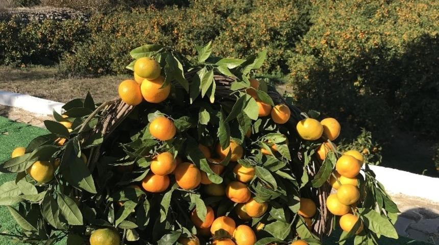 CHP&rsquo;nin Karaburun aday adayı Erdoğan: "Yarımadamız organik tarımın g&ouml;zdesi olacak"