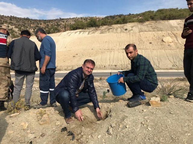 KYK Öğrencileri bin fidanı toprakla buluşturdu