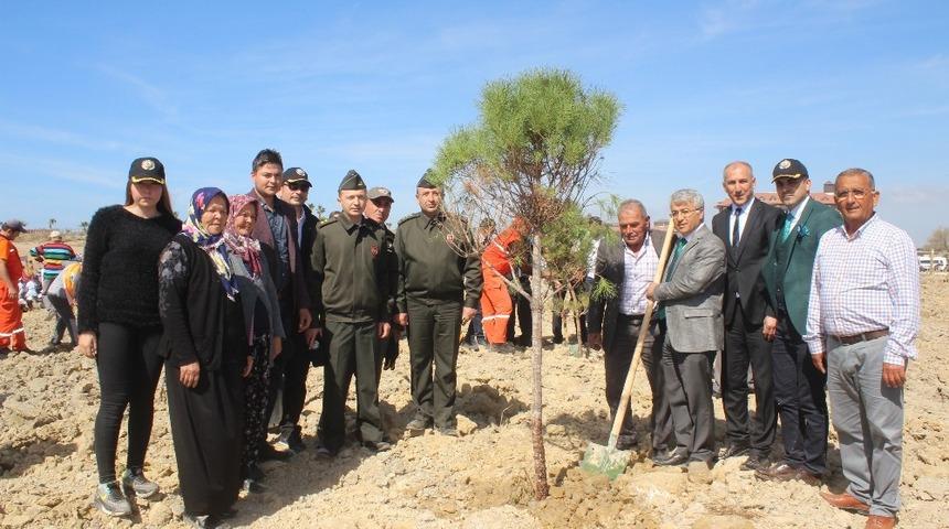 Manavgat&rsquo;ta Şehit Cumali G&uuml;r Hatıra Ormanı oluşturuldu