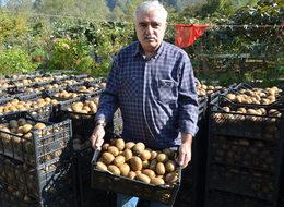 5 fidan ile başladı! 21 milyonluk hobi