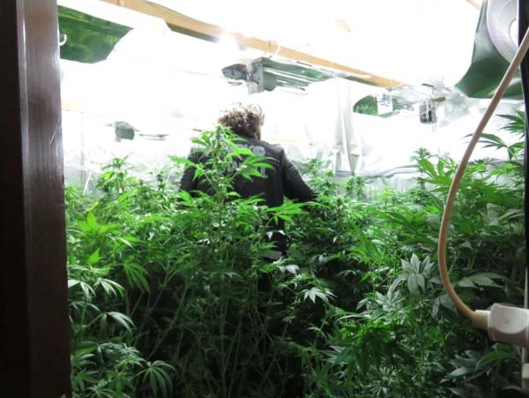 Beykoz'daki villada 2 milyon değerinde uyuşturucu bulundu