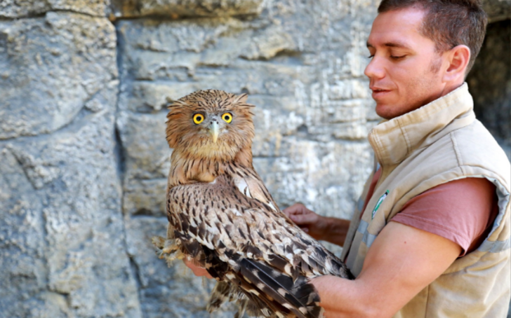 Dünyada nadir bulunan balık baykuşu Mersin'de bulundu  G2