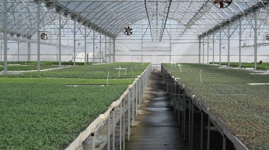 Bitkisel ürün sigortalarında yeni üretim sezonu açıldı