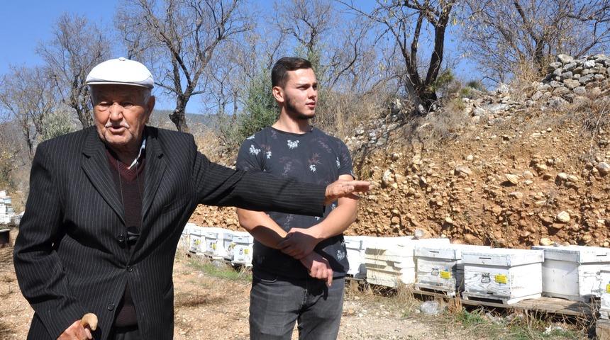 Arıları ilaçlamada telef oldu, isyan etti: Hayatımı söndürdüler