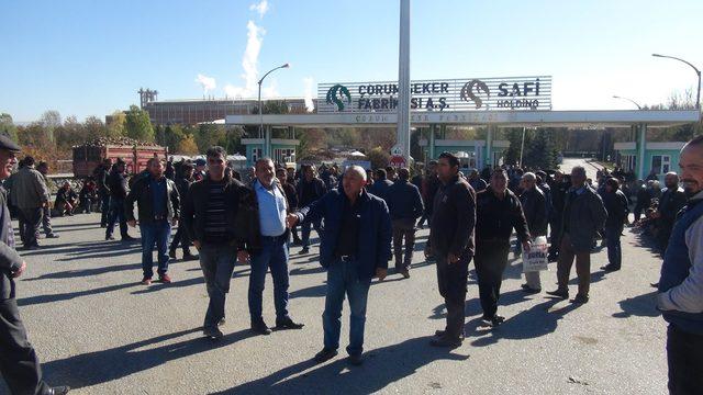 Çorum Şeker Fabrikası'nda borçlar ödenecek pancar alımı başlayacak