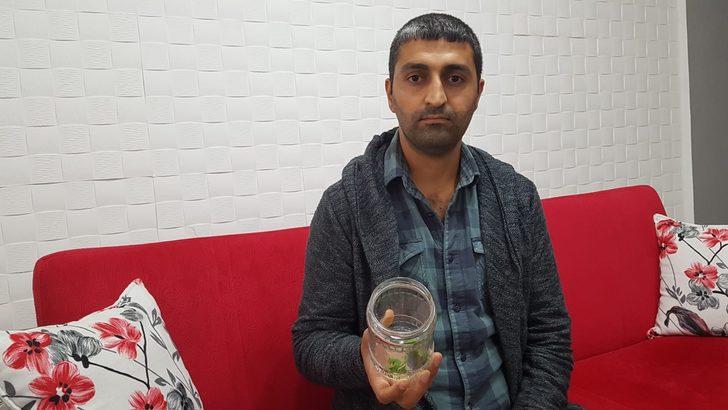  Osmaniye'de ortaya çıktı! Yüzü insan gibi G3