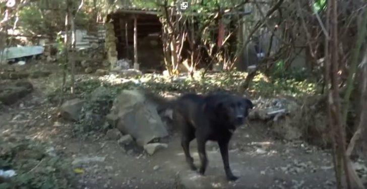 Kaçırıldı, tecavüze uğradı, dayak yedi... Yaşadığı kabus 2 ay boyunca devam etti G4