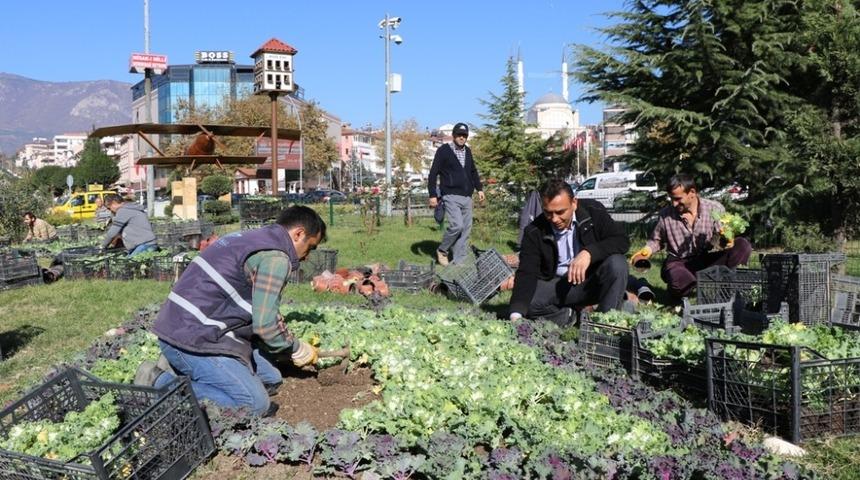 Safranbolu&rsquo;da park ve bah&ccedil;eler renkleniyor