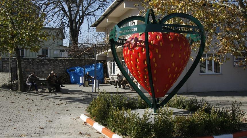 Mahmudiye çileğinde sezonun son hasadı yapılıyor