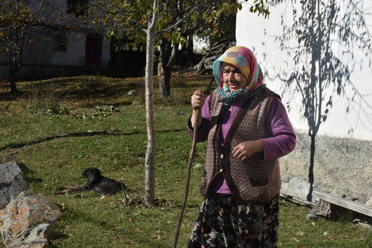 Kastamonu'da başıboş uyuz ve hastalıklı köpekler vatandaşlara kabusu yaşatıyor G4