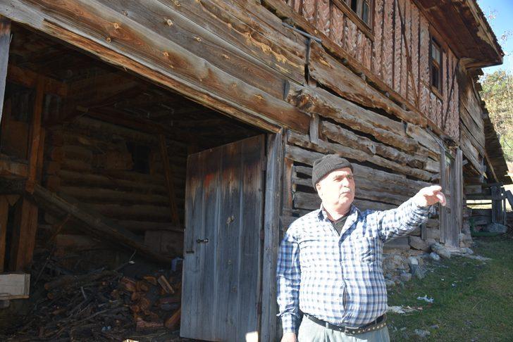 Kastamonu'da başıboş uyuz ve hastalıklı köpekler vatandaşlara kabusu yaşatıyor G5