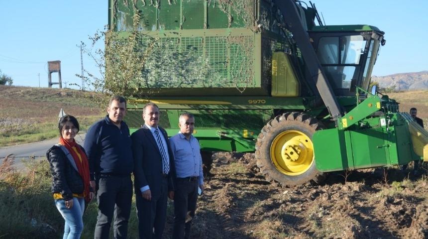 Siirt ve Kurtalan&rsquo;da pamuk hasadı başladı