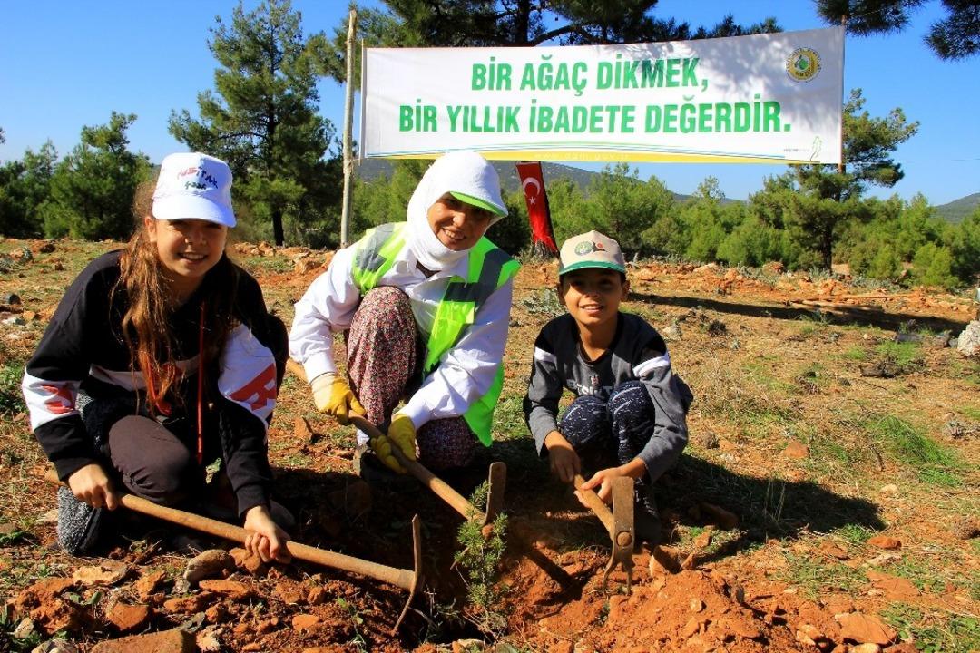 Fidanlar, fidanlarla b&uuml;y&uuml;yecek