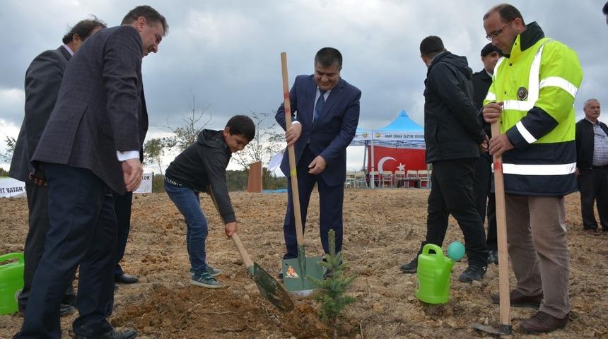 Sinop&rsquo;ta &ldquo;Fidanlar, Fidanlarla B&uuml;y&uuml;yor&rdquo; etkinliği
