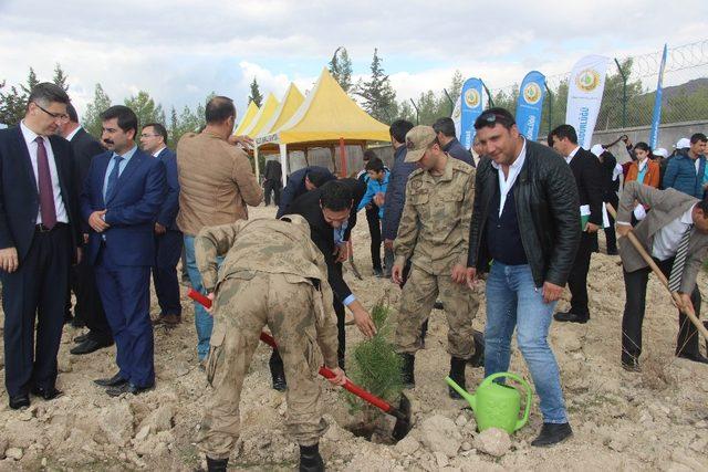 Suriye sınırında fidanlar toprakla buluşturuldu