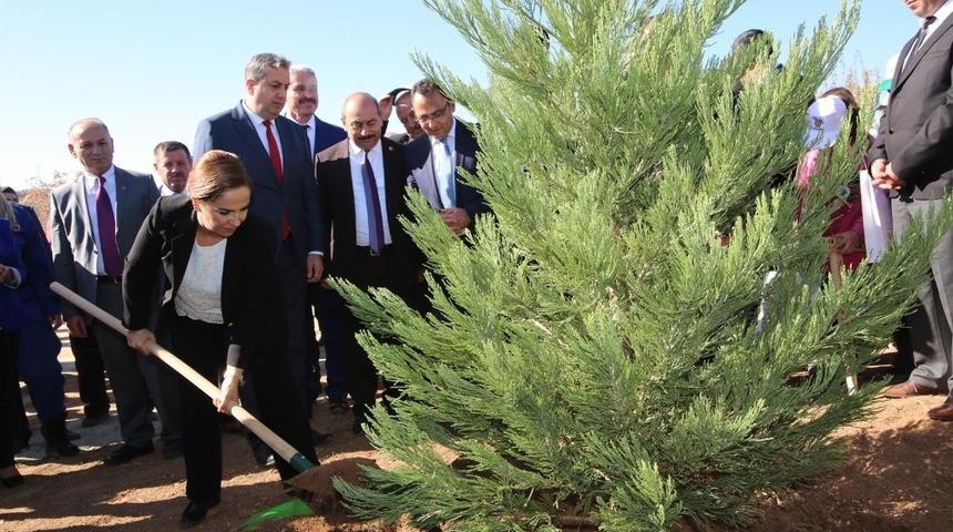 Uşak’ta “Fidanlar fidanlarla büyüyor” projesi ile 2 bin 500 fidan dikildi