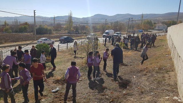 Kaman’da öğrenciler, 300 fidanı toprakla buluşturdu