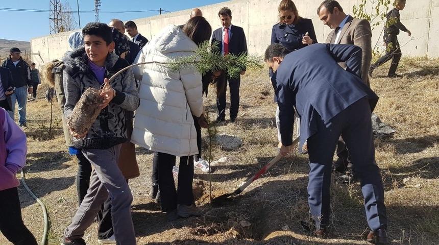 Kaman&rsquo;da &ouml;ğrenciler, 300 fidanı toprakla buluşturdu