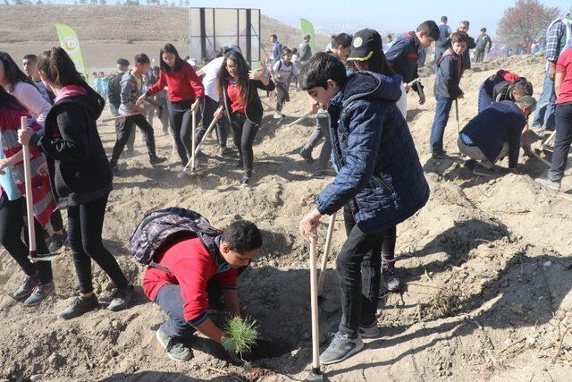 Denizli’de 13 bin 500 fidan toprakla buluştu