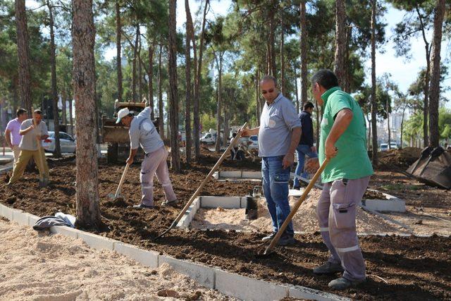 Beyazevler Çamlığı’na yeni çehre