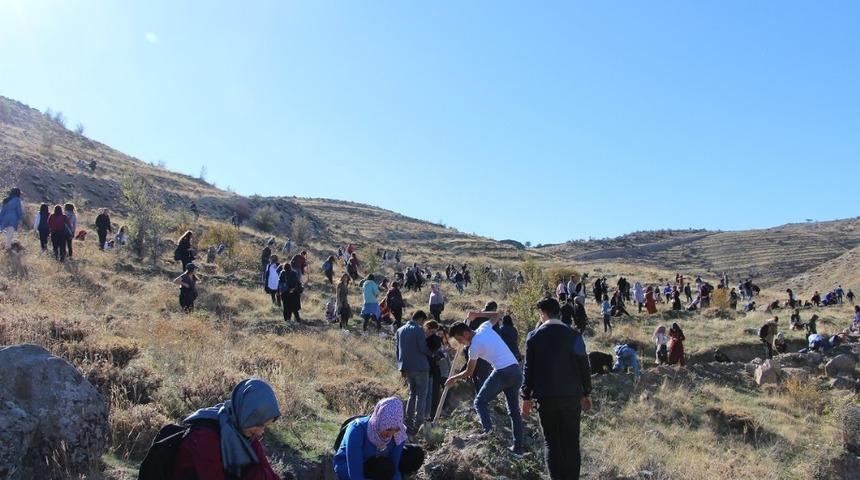 KYK 2 yılda 5 bin fidan dikti