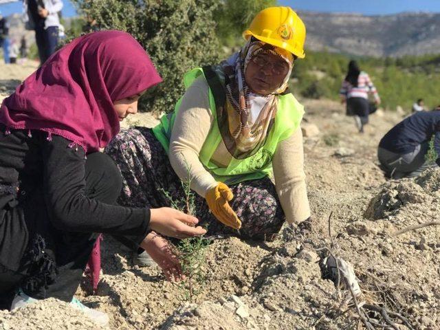 Mut’ta öğrenciler 500 fidan dikti