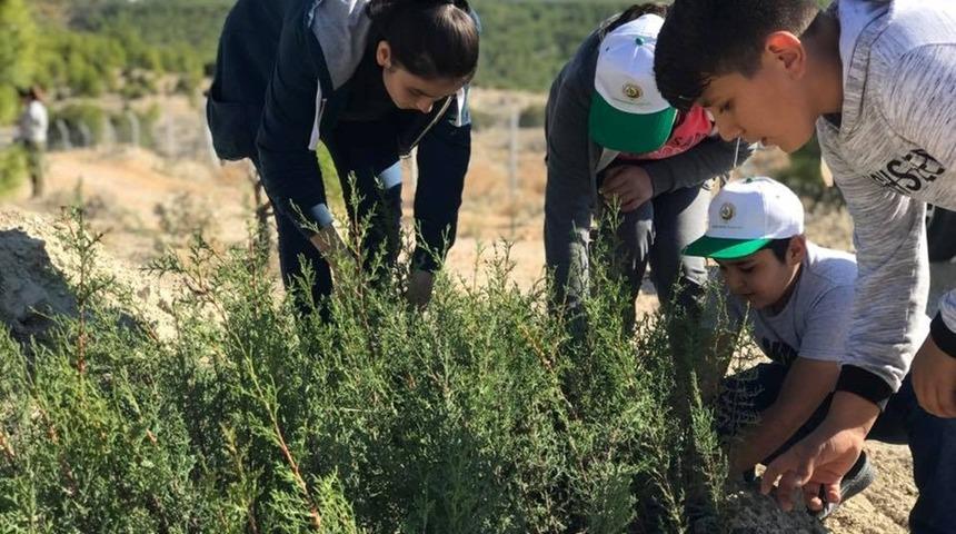 Mut&rsquo;ta &ouml;ğrenciler 500 fidan dikti