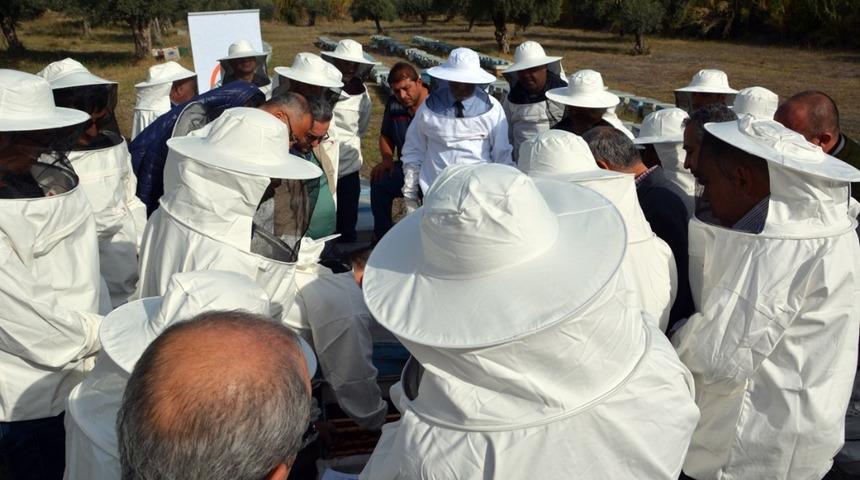Tarım m&uuml;d&uuml;rl&uuml;ğ&uuml; personeline arıcılık eğitimi verildi