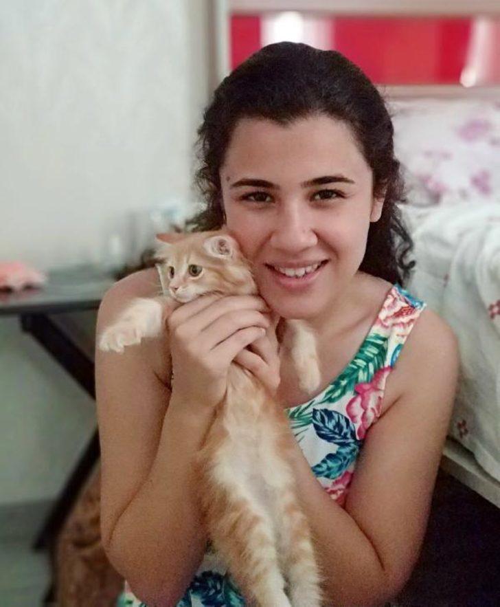 Kedinin boğazından 6 santimlik dikiş iğnesi çıkarıldı G2