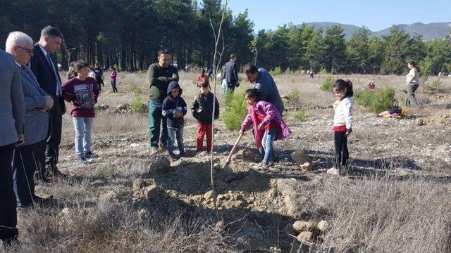 Kaş’ta Fidanlar toprakla buluştu