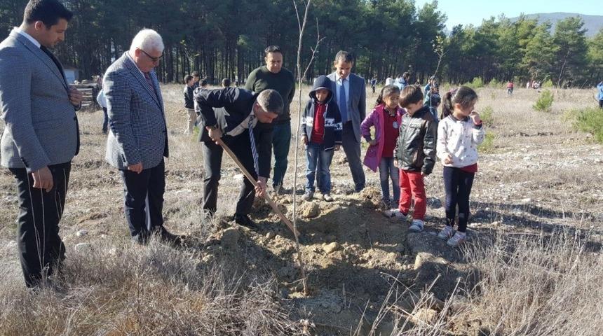Kaş&rsquo;ta Fidanlar toprakla buluştu
